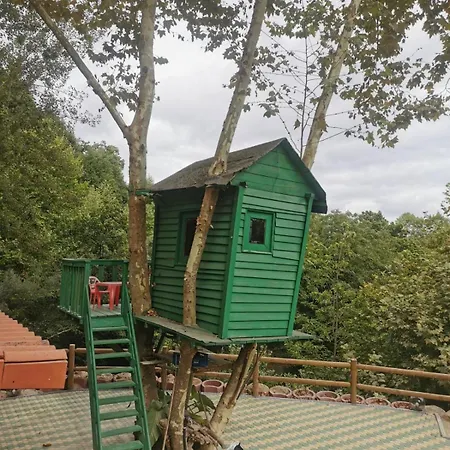 Quinta De Carvalho, Carvalho, Celorico De * Basto