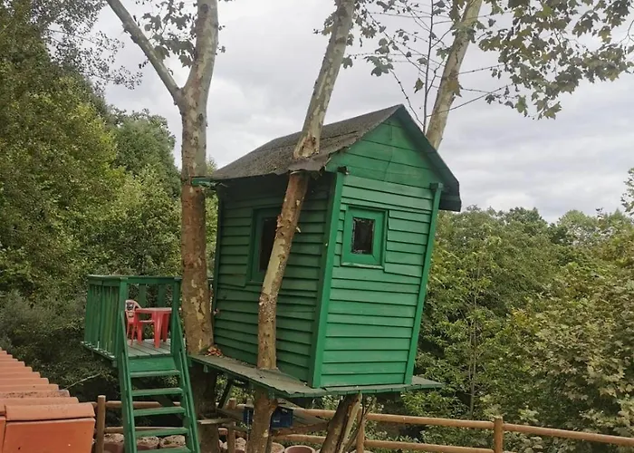 Quinta De Carvalho, Carvalho, Celorico De * Basto